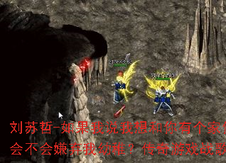 ������-�����˵��������и�����᲻�����������ɣ�������Ϸս���