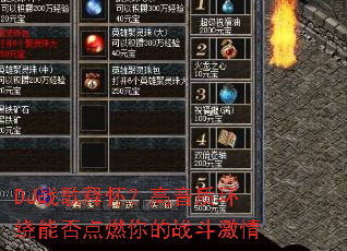 DJս���ͻ��������ʻ����ܷ��ȼ���ս������