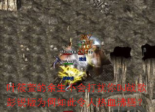 Ҷ������������������DJս�������Ϊ�����������Ѫ���ڣ�