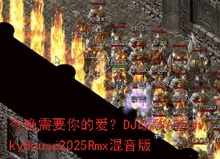 ������Ҫ��İ���DJս��A5FunkyHouse2025Rmx������