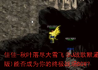 �Ѽ�-��Ҷ�価��ѩ��(DJս��Ĭ����)�ܷ��Ϊ����ռ�ս��BGM��