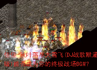 �Ѽ�-��Ҷ�価��ѩ��(DJս��Ĭ����)�ܷ��Ϊ����ռ�ս��BGM��