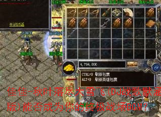 �Ѽ�-��Ҷ�価��ѩ��(DJս��Ĭ����)�ܷ��Ϊ����ռ�ս��BGM��