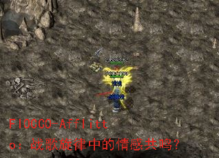 FIOCCO-Afflitto��ս�������е���й�����