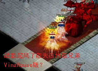 ս������˾��쾴�ؾ��ֵ�VinaHouse�棿