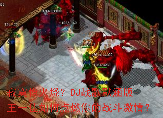 ��į����գ�DJս��Ĭ����-��һ����ε�ȼ���ս�����飿