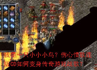 我是一只小小小鸟?伤心情歌连版CD如何变身传奇游戏战歌? 我是一只小小小鸟?伤心情歌连版CD如何变身传奇游戏战歌?
