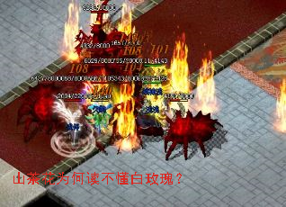 ɽ�軨Ϊ�ζ�������õ�壿