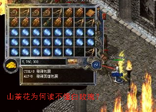 ɽ�軨Ϊ�ζ�������õ�壿