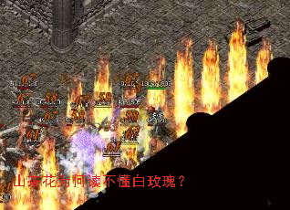 ɽ�軨Ϊ�ζ�������õ�壿
