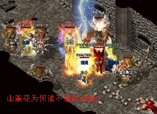 ɽ�軨Ϊ�ζ�������õ�壿