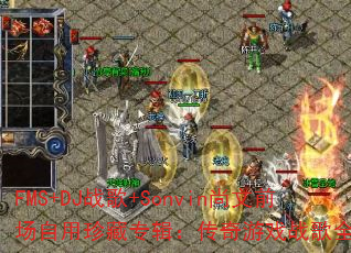 FMS+DJս��+Sonvin����ǰ���������ר����������Ϸս��ȫ������