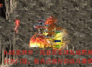 DJս���ͻ���������ȫ��˽��ҰĦ�����Ű棬�ܷ��ȼ���ս�����飿