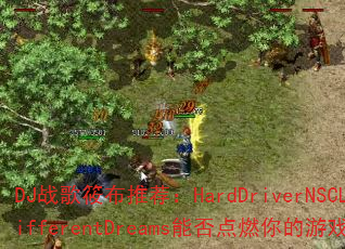 DJս���㲼�Ƽ���HardDriverNSCLT-DifferentDreams�ܷ��ȼ�����Ϸ���飿