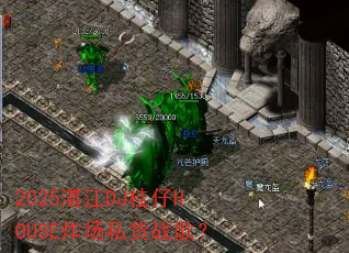 2025տ��DJ����HOUSEը��˽��ս�裿