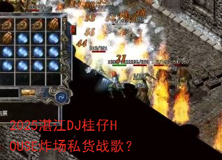 2025տ��DJ����HOUSEը��˽��ս�裿