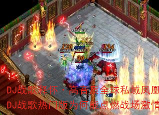 DJս���ͻ���������ȫ��˽����չ��DJս�����Ű�Ϊ���ܵ�ȼս�����飿