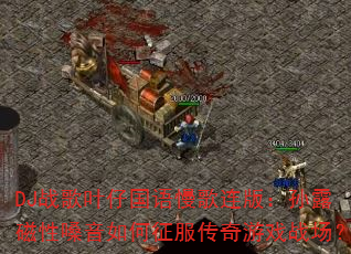 DJ战歌叶仔国语慢歌连版:孙露磁性嗓音如何征服传奇游戏战场? DJ战歌叶仔国语慢歌连版:孙露磁性嗓音如何征服传奇游戏战场?