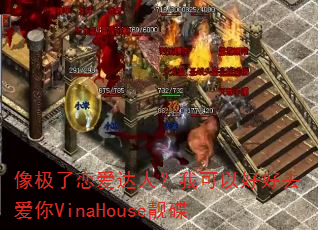 像极了恋爱达人?我可以好好去爱你VinaHouse靓碟 像极了恋爱达人?我可以好好去爱你VinaHouse靓碟