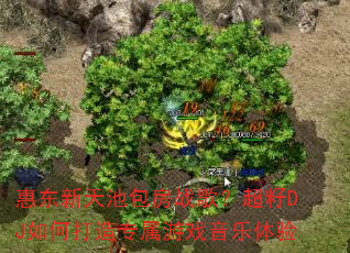 �ݶ�����ذ���ս�裿����DJ��δ���ר����Ϸ��������