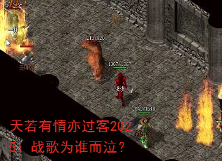 天若有情亦过客2025:战歌为谁而泣? 天若有情亦过客2025:战歌为谁而泣?