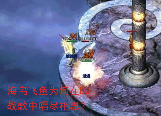 海鸟飞鱼为何在DJ战歌中唱尽相思? 海鸟飞鱼为何在DJ战歌中唱尽相思?