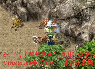�������Խ�Ĵ��棿½��DJս�谢����Ӣ��VinaHouse�������������Ϸս����