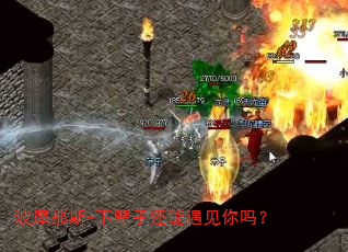 波摩那斯-下辈子还能遇见你吗? 波摩那斯-下辈子还能遇见你吗?