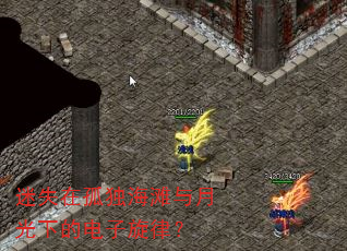 迷失在孤独海滩与月光下的电子旋律? 迷失在孤独海滩与月光下的电子旋律?