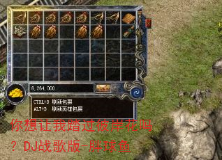 ��������̤���˰�����DJս���-������