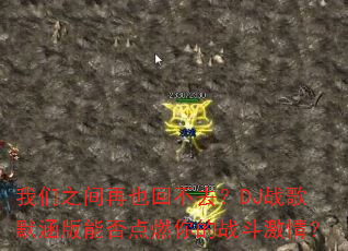 ����֮����Ҳ�ز�ȥ��DJս��Ĭ�����ܷ��ȼ���ս�����飿