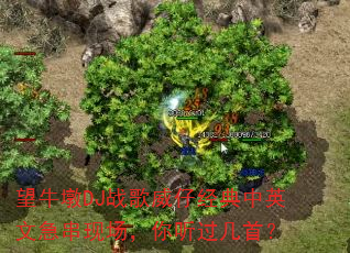 望牛墩DJ战歌威仔经典中英文急串现场,你听过几首? 望牛墩DJ战歌威仔经典中英文急串现场,你听过几首?