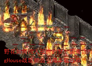 野花如何闯入玫瑰的梦?国粤语ProgHouse战歌能否引爆车载狂欢 野花如何闯入玫瑰的梦?国粤语ProgHouse战歌能否引爆车载狂欢