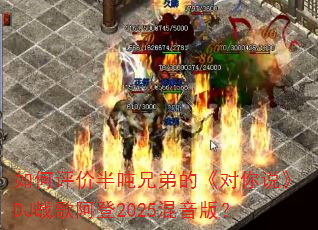 ������۰���ֵܵġ�����˵��DJս�谢��2025�����棿