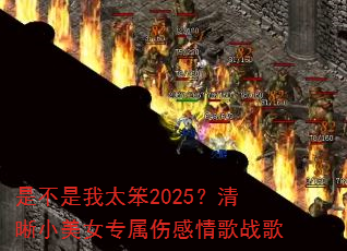 �ǲ�����̫��2025������С��Ůר���˸����ս��