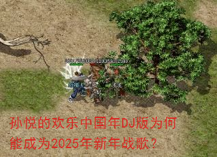 孙悦的欢乐中国年DJ版为何能成为2025年新年战歌? 孙悦的欢乐中国年DJ版为何能成为2025年新年战歌?