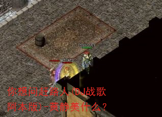 �����ʸ�·��(DJս�谢����)-�ƾ���ʲô��