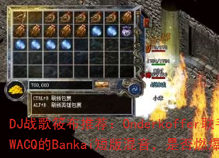 DJս���㲼�Ƽ���Onderkoffer����SWACQ��Bankai�̰�������Ƿ�ȼ��ս����