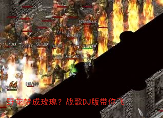 野花梦成玫瑰?战歌DJ版带你飞 野花梦成玫瑰?战歌DJ版带你飞