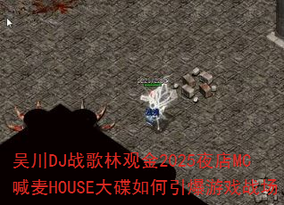 吴川DJ战歌林观金2025夜店MC喊麦HOUSE大碟如何引爆游戏战场 吴川DJ战歌林观金2025夜店MC喊麦HOUSE大碟如何引爆游戏战场