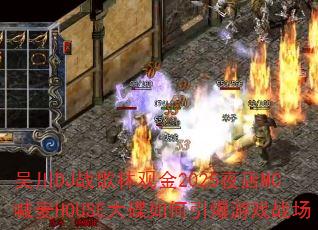 吴川DJ战歌林观金2025夜店MC喊麦HOUSE大碟如何引爆游戏战场 吴川DJ战歌林观金2025夜店MC喊麦HOUSE大碟如何引爆游戏战场