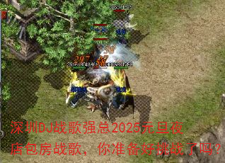 ����DJս��ǿ��2025Ԫ��ҹ�����ս�裬��׼������ս����