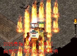 2025最强战歌?经典新曲能否引爆你的车载音响 2025最强战歌?经典新曲能否引爆你的车载音响
