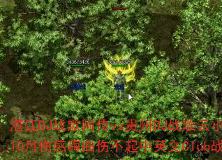 湛江DJ战歌阿传vs贵州DJ战歌云小国杭州鼎逸10月伤感嗨曲伤不起中英文Club战歌如何选? 湛江DJ战歌阿传vs贵州DJ战歌云小国杭州鼎逸10月伤感嗨曲伤不起中英文Club战歌如何选?