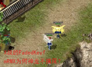 X叔的FadedKeyfmRMX为何神龙不摆尾? X叔的FadedKeyfmRMX为何神龙不摆尾?