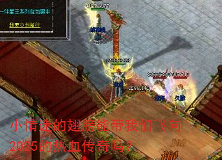 小情迷的翅膀能带我们飞向2025的热血传奇吗? 小情迷的翅膀能带我们飞向2025的热血传奇吗?