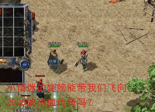 小情迷的翅膀能带我们飞向2025的热血传奇吗? 小情迷的翅膀能带我们飞向2025的热血传奇吗?