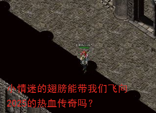小情迷的翅膀能带我们飞向2025的热血传奇吗? 小情迷的翅膀能带我们飞向2025的热血传奇吗?
