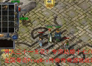 男人三十一支花?专泡姑娘十七八?DJ战歌黎龙国粤语ProgMix传奇传奇游戏战歌揭秘 男人三十一支花?专泡姑娘十七八?DJ战歌黎龙国粤语ProgMix传奇传奇游戏战歌揭秘