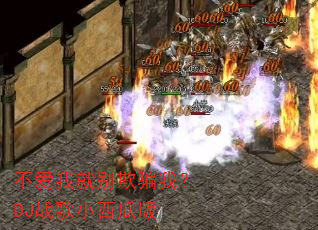 不爱我就别欺骗我?DJ战歌小西瓜版 不爱我就别欺骗我?DJ战歌小西瓜版